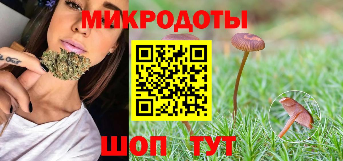 Псилоцибиновые грибы GOLDEN TEACHER Железногорск
