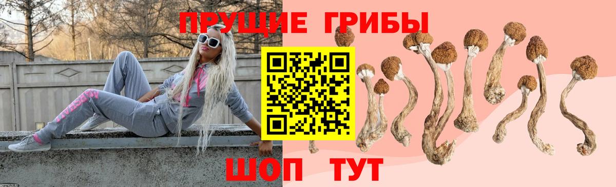 Железногорск  Псилоцибиновые грибы мицелий  Галлюциногенные грибы Cubensis  Вход с VPN 